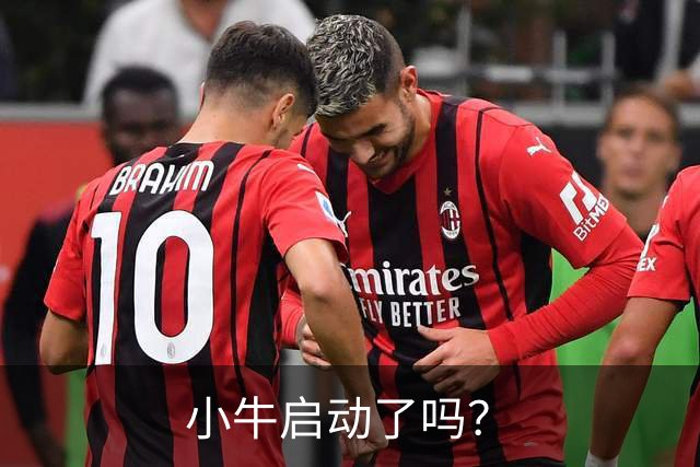 小牛启动了吗？